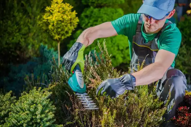 landscaping services Edgemont Park